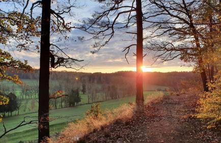 Ferienwohnung Geilert - Foto 19