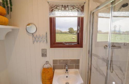 Balwen Shepherd's Hut - Foto 13