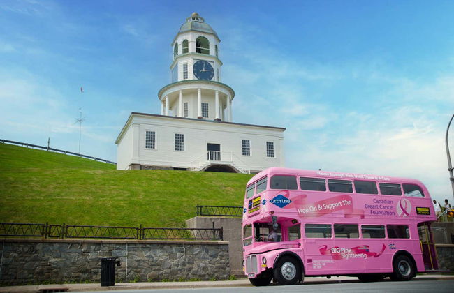 Bus touristique d'Halifax - Photo 3