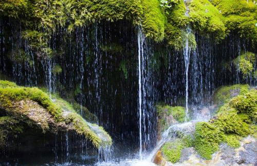 Tenuta del Bifan - Photo 30