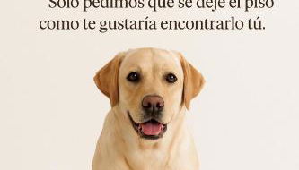 Casa Fidalgo - Foto 5, pet friendly