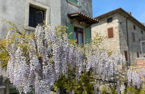 Antico Stemma Corte Meneghella - Photo 23