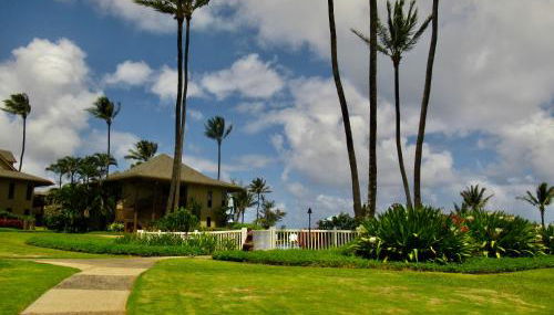 This is Paradise! - Foto 4