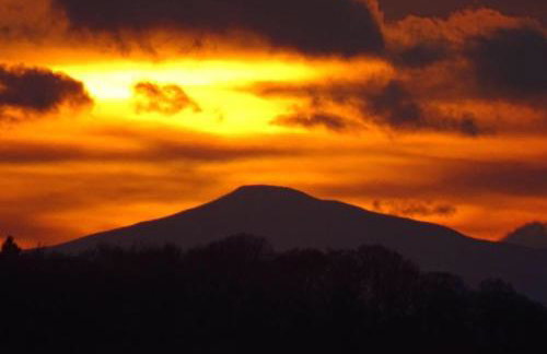 3 Guests - Pet Friendly - Grid Tree-House - Foto 32