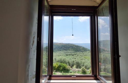 Torre Bruno - Foto 34