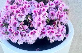 Casa Vacanza Nonna Anna - Foto 80