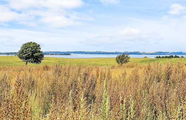 6 Person Holiday Home in Faaborg-by Traum - Foto 5