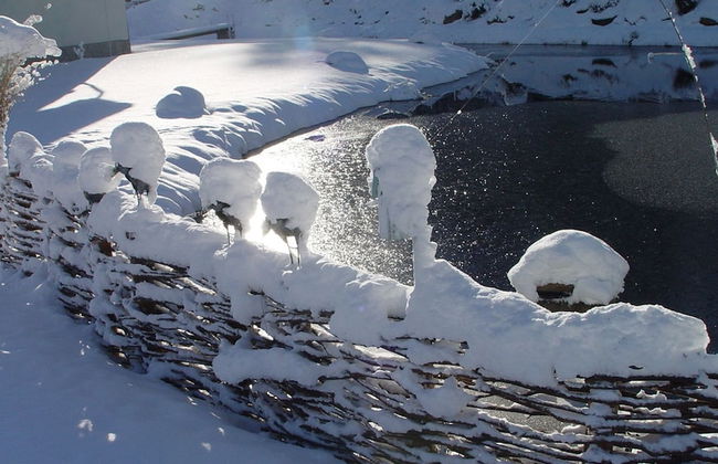 Villa Impresja - Foto 21