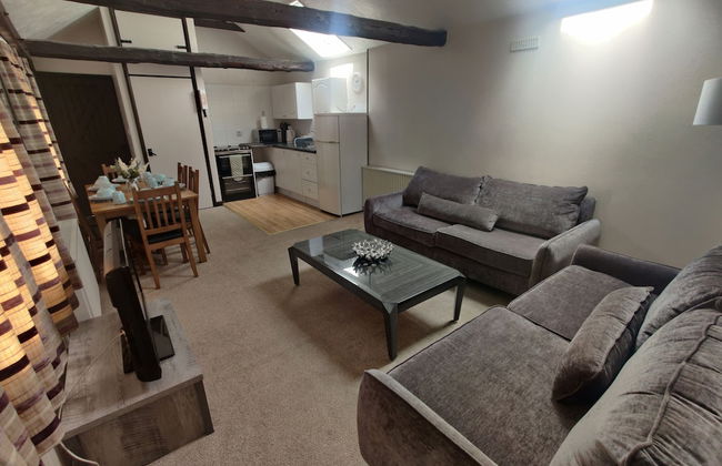 Birds Farm - Foto 32