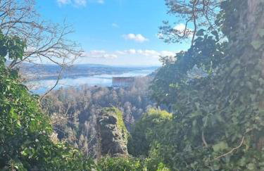 Charismatisch und gemütlich in Güttingen, nah zum Buchensee und Bodensee, tolle Lage - Foto 18