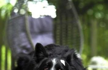 Haus Grün - Foto 20