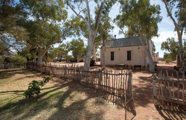 Palm Valley et Promenade en 4x4 - Excursion d'une Journée - Photo 8