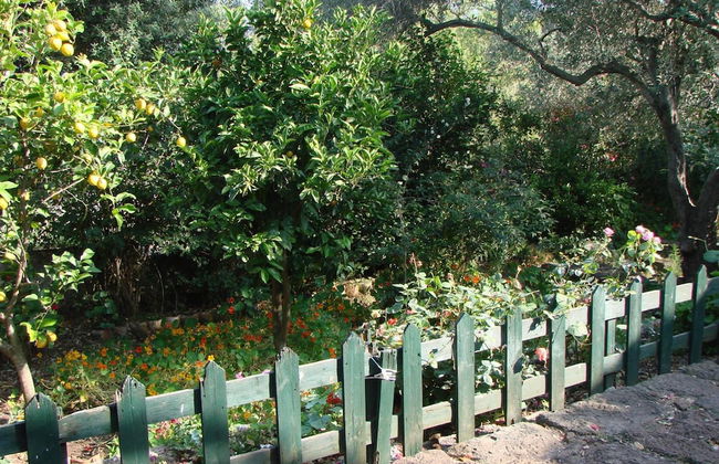 Agriturismo Su Tiresi - Foto 36