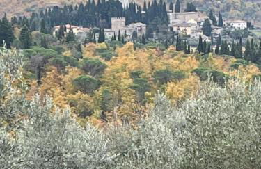 Il Fiorino di Badia - Foto 59