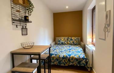 Le Pti toulousain 23 Studio Centre - Foto 6