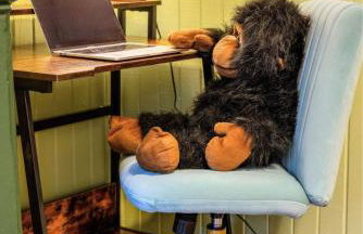 The Jungle Nook - Themed Getaway,Backyard,Grill - Foto 36