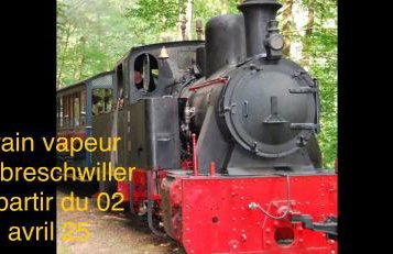 Grand appartement au cœur de la région alsacienne - Photo 67