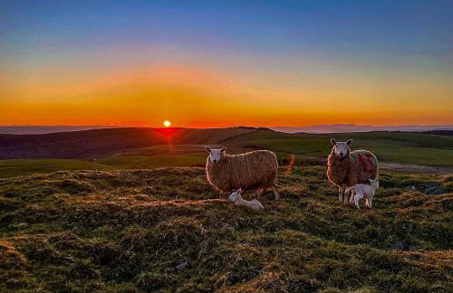 Blaen Y Cwm - Foto 21