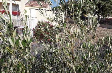 Au Clos des Faysses - Foto 21