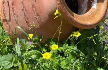 Privatised Pasparo Estate - 3 Apartments & Pool - Foto 49