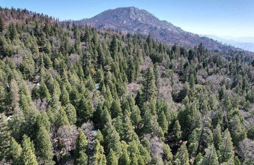 A-Frame Cabin in The Sequoias - Foto 11