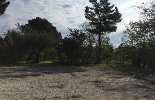 Locanda Marzi - Foto 69