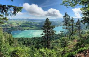 Alpenrose Appartements - Foto 30