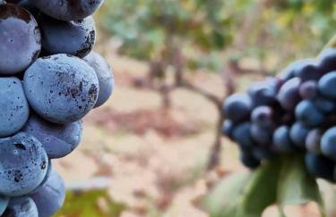 Apartman Iskra 2 - Foto 73