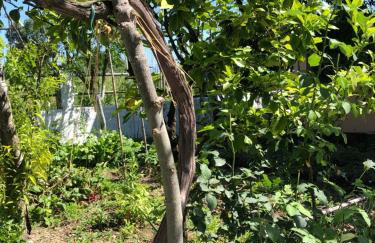 Natasha’s home - Foto 27