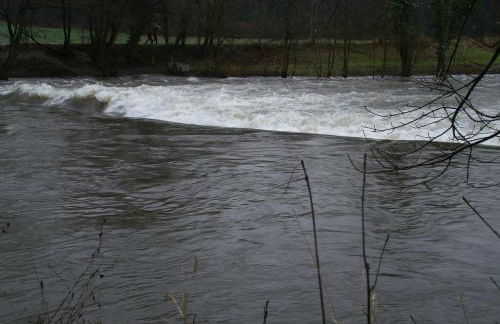 Ferienwohnung Villa Weyermann - Foto 79
