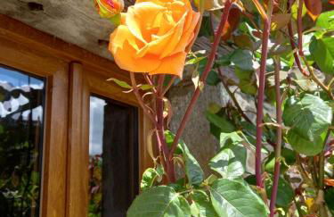 Petite maison avec piscine - Photo 11