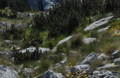 Casa vacanza Escher - Foto 62