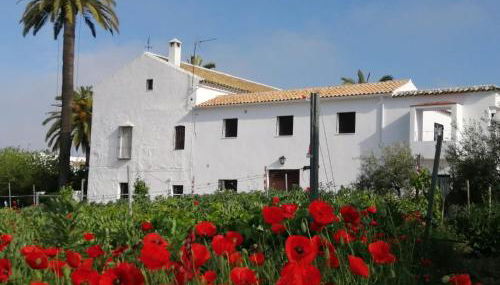 Alojamiento Las Palmeras - Foto 3