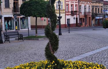 Apartament Deluxe w centrum Brzeska nr 2 - Photo 19