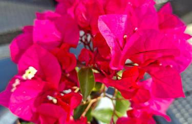 Marcowe Kąty-Przestrzeń na wypoczynek, odpocznij w ciszy i naturze, tylko 7 minut od Sandomierza - Foto 30