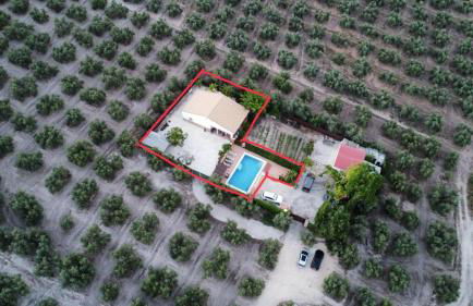 Finca Fuente la Parra - Foto 1