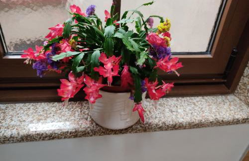 A Casa De Carmen - Foto 67