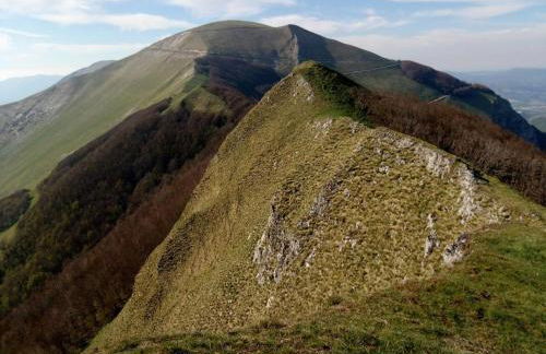 Oasi delle Gazze - Foto 42