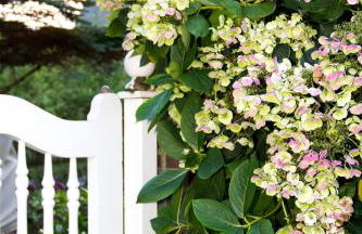 Fewo Jutta Bönisch - Foto 17