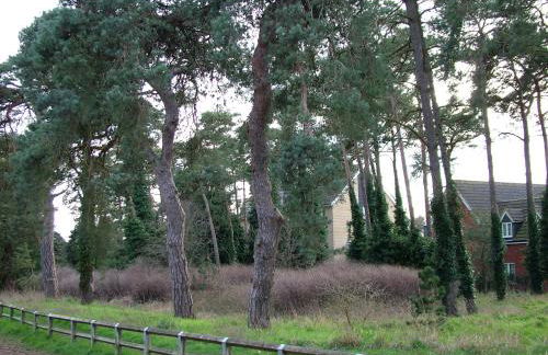 Thistle Cottage - Foto 43