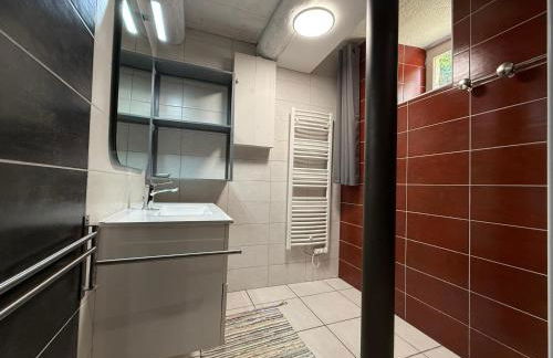 Gite LES SOURCES, 9 pers, 11 couchages - Arlempdes, classé un des plus beaux villages de France - Foto 34