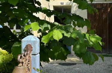 Typical French House near Disneyland & Paris - Foto 9