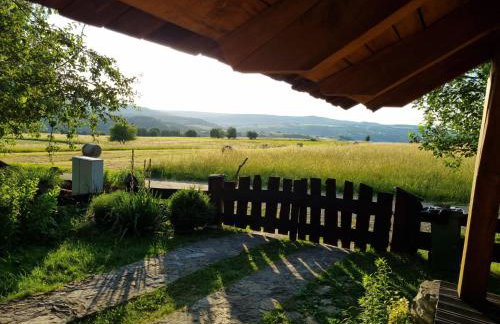 Jabłoniowy Sad Kalwaria Pacławska - Foto 57