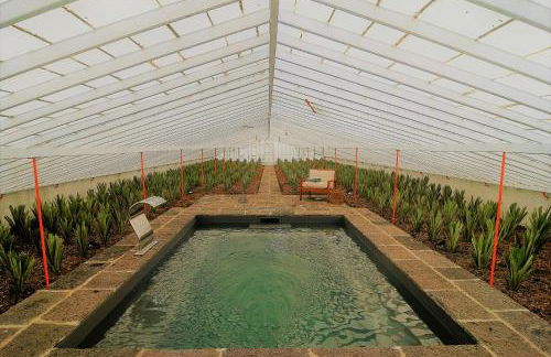 Herdade do Ananás - Photo 34