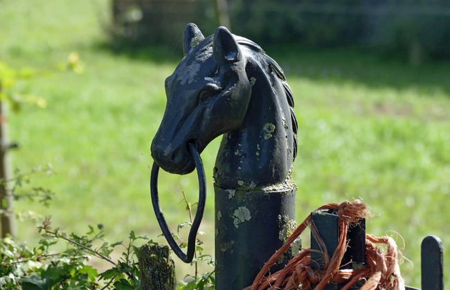Located Near Maastricht Towards the Belgium Border - Photo 45
