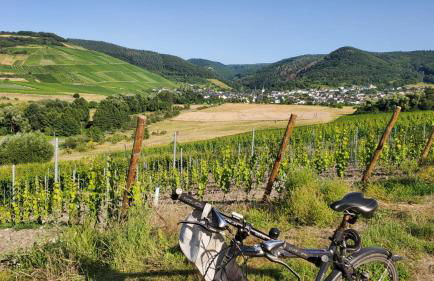 Ferienwohnung im Moseltal - Foto 29