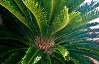 Apartamentos Los Verodes - Foto 100