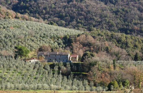 Agriturismo Fattoria Celle - Foto 30