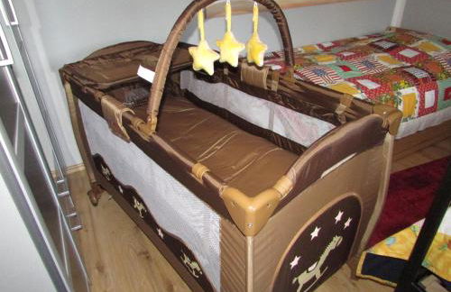 FeWo Harz Haennig 1 - Foto 39