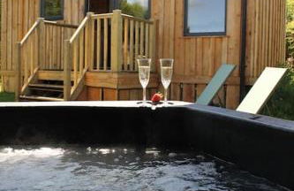 Pembrokeshire Shepherd hut with hottub - Foto 1